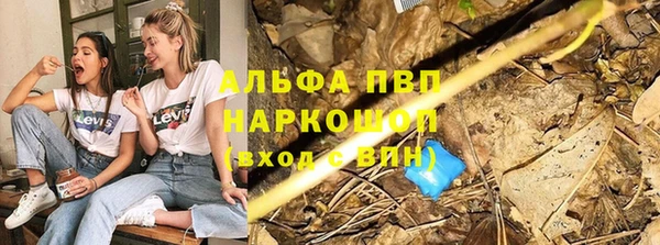 хмурый Заводоуковск