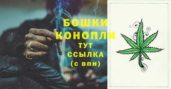 молекула духа Заволжск