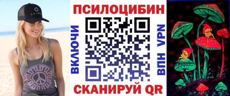 Псилоцибиновые грибы прущие грибы  Купить закладки  Цивильск 
